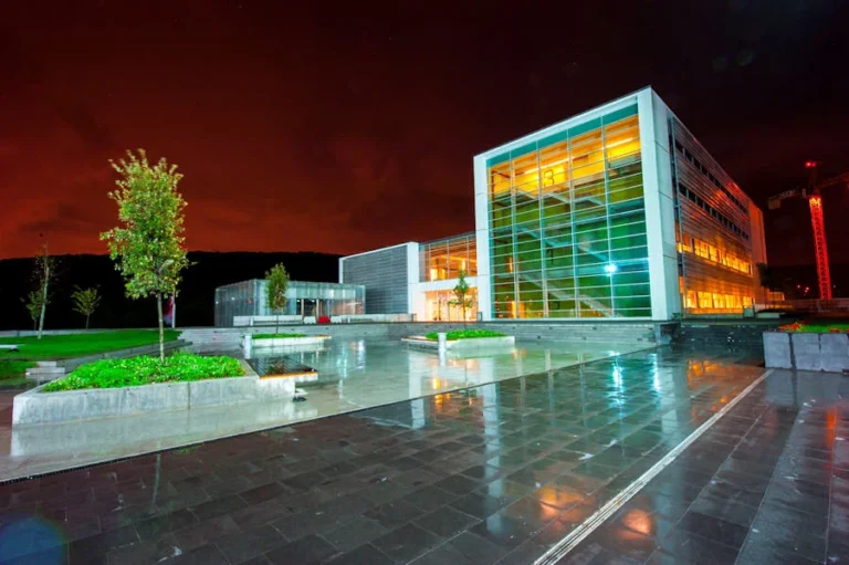 Özyeğin Üniversitesi uluslararası ticaret ve işletmecilik kampüsü