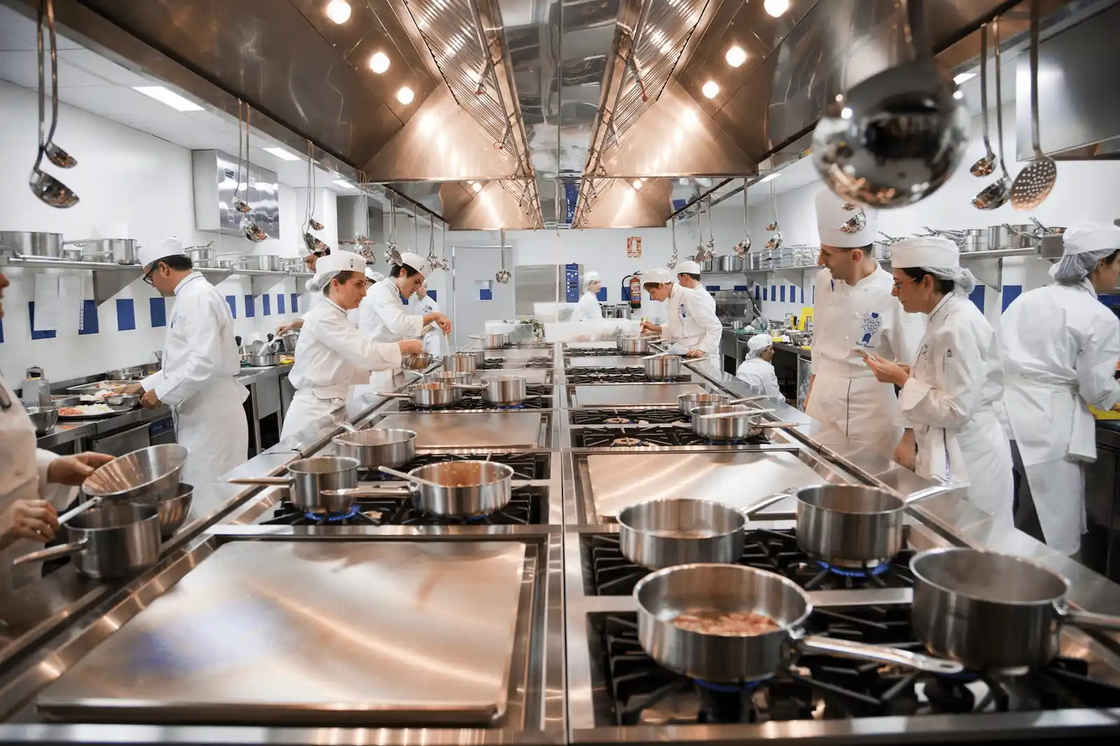 Özyeğin Üniversitesi Gastronomi ve Mutfak Sanatları öğrencileri