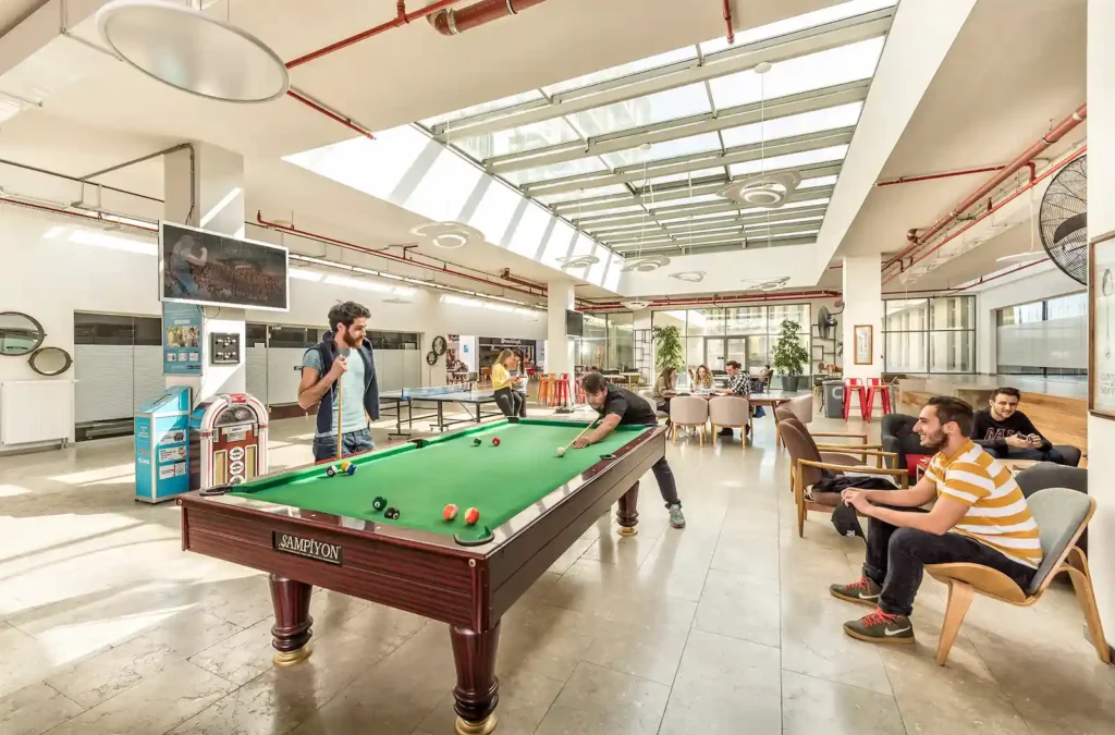 Özyeğin University services and facilities